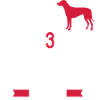 Rhodesian Ridgeback