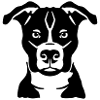 Staffordshire Bull Terrier