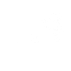 Poodle Agility Dog