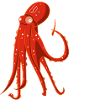 Octopus is screaming (b)