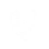 Dibujos animados pollo pollo