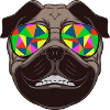 Fun dog