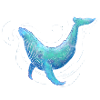 Humpback Whale