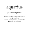 Aquarius (Verseau) Definition Dictionary