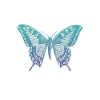 Swallowtail blue butterfly