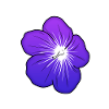 Violette Blütenillustration mit leuchtender Mitte