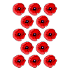 Abstract Poppies Pattern