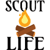 SCOUT: Vita scout