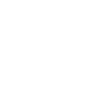the coach