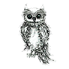 owl