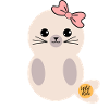 Seal Seal Wild