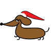 Dachshund with Santa hat
