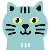 Chat mignon