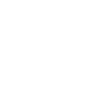 speed wolf soft design