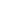 Celtic skull
