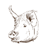Cochon