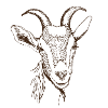 Chèvre