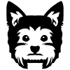 Yorkie