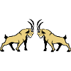 Steinbock Beige Doppelbull Symmetrie