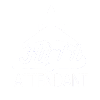 Flight attendant stewardess