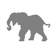 Éléphant