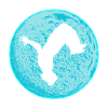 Parkour Freerunning Backflip Acrobat Freestyle