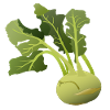 kohlrabi