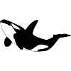 Orca