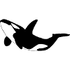 Orca