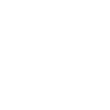 Evolution chimney sweep