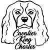 Cavalier King Charles