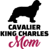 Cavalier King Charles