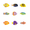 Tropical fish anemonefish angelfish