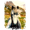 cheval