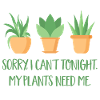 plants