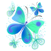 Butterfly moth