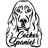 Cocker Spaniel