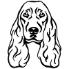 Cocker Spaniel