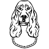 Cocker Spaniel