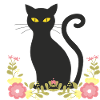 Black cat
