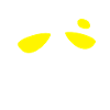 Cool Monkey - Singe cool
