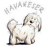 Kleiner Havaneser Hund I Hundefreund Geschenk