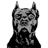 Bulldog kamphund Staffordshire, vagthund, hunde