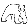 Ours Polaire - Version Simple