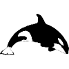 Orca