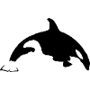 Orca