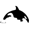 Orca