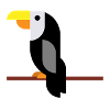 Tukan auf Ast