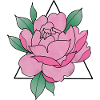 Rose peony flower