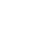 craftsman